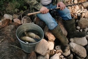 Attracting Ideal Clients Part 2, Fishing for Clients