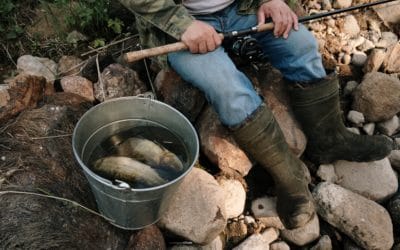 Attracting Ideal Clients, Part 2: Fishing For Clients